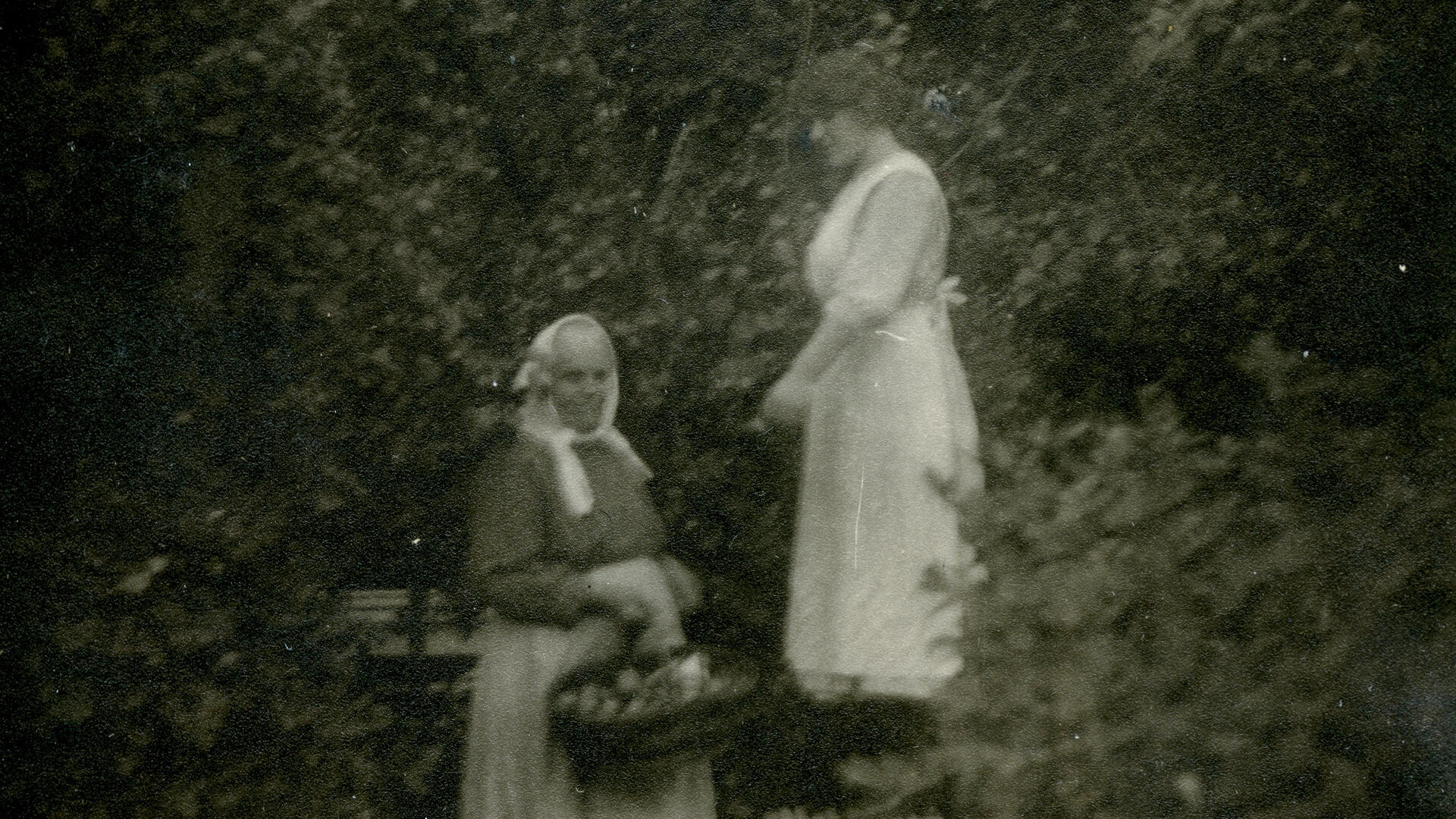 mustavalkokuvassa kaksi naista, toinen seisoo jakkaralla ja omenoita vanhemmalle naiselle, joka seisoo maassa omenakori kädessään
