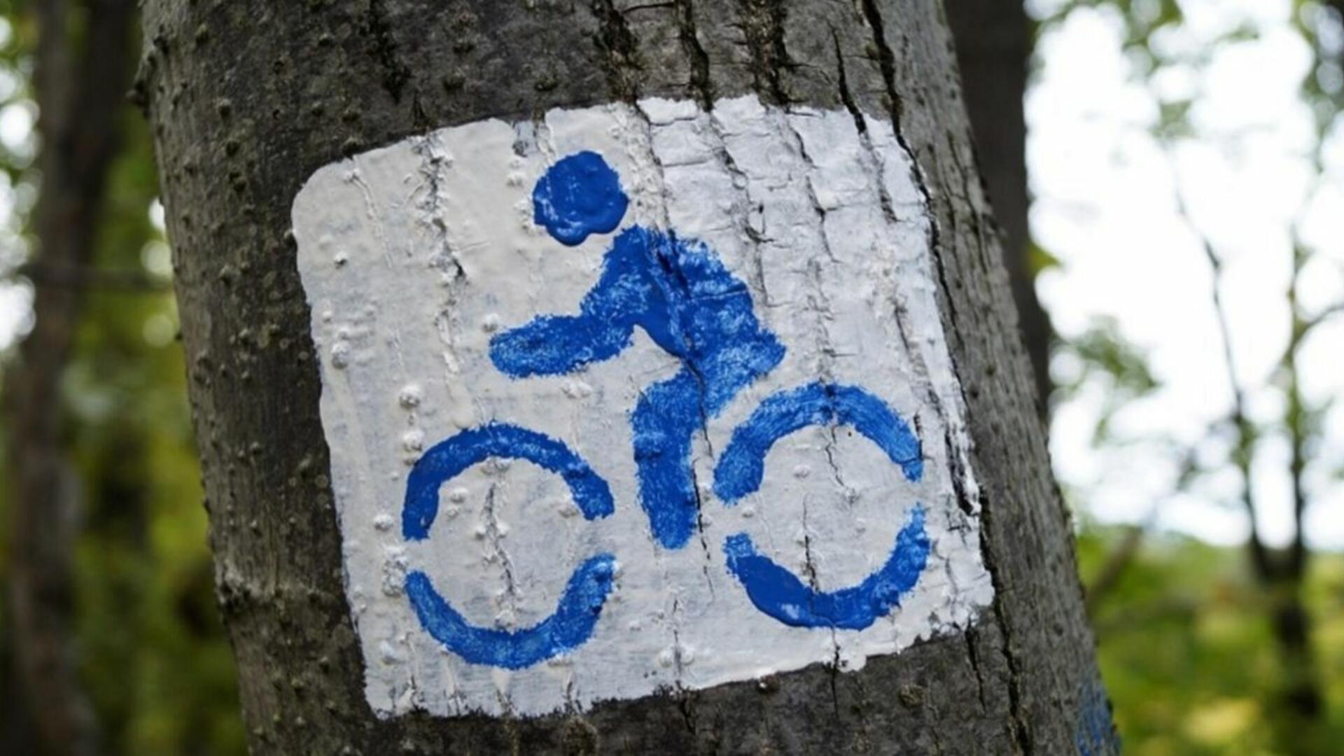 Kuvassa piirretty pyöräilijä
